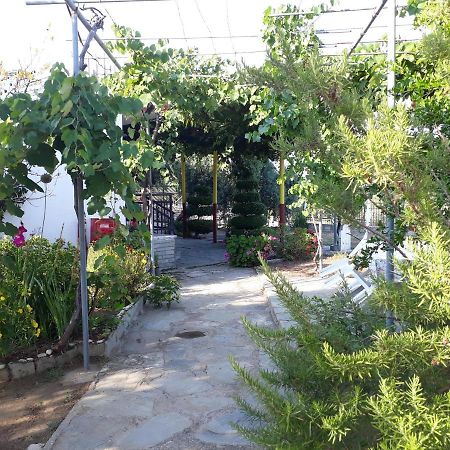 Villa Studio Zoi Alikí Exterior foto